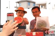 助妻为乐（乡村行·看振兴）江西安福“小西瓜”撬动乡村共富“大支点”