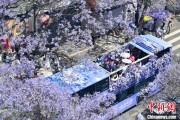 助妻为乐2024年云南重点高原湖泊水质稳定 抚仙湖达Ⅰ类
